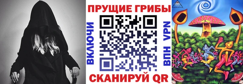 Галлюциногенные грибы мицелий  закладки  Светогорск 